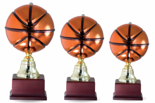 2630 Trophies Basquetball