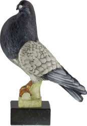 3197 Pigeon fowl and falconry Trophie