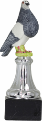 3203 Pigeon fowl and falconry Trophie