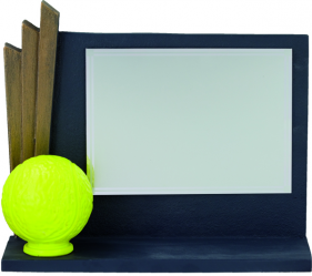 5312 Plaque hommage Tennis